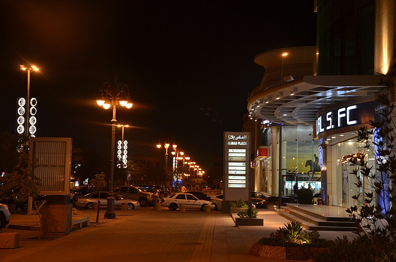File:شارع التحلية (الرياض 2012) 03.JPG