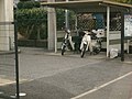 千葉県警のバーディー90（左）とスーパーカブC90（右）