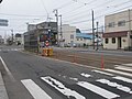 宝来町停留場・往線側ホームと、それに近接する衝突防止用ラバーポール（ガイドポスト）の設置状況（2017年5月撮影）