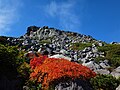 2021年6月5日 (土) 06:59時点における版のサムネイル