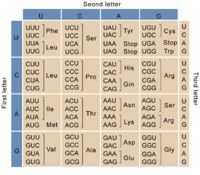 Universal Genetic Code Chart