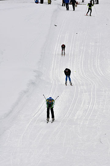 Langlaufen op de Olympische Jeugdwinterspelen 2012