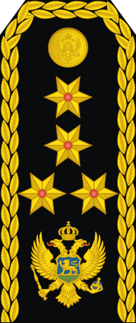File:19-Montenegro Navy-ADM.svg