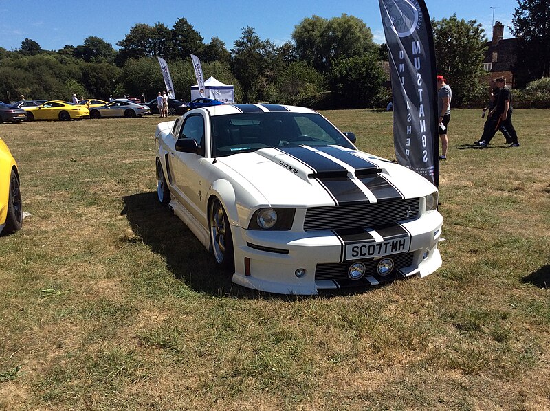 File:2007 Ford Mustang (SC07TMH).jpg