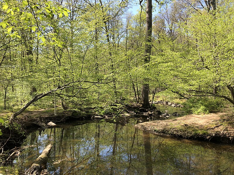 File:2021-04-20 15 36 23 View southwest down Big Rocky Run within Rocky Run Stream Valley Park in Chantilly, Fairfax County, Virginia.jpg