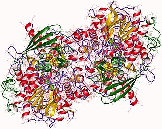 Adenylyl-sulfate reductase