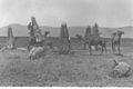 ARAB PEASANTS LOADING BUNDLES OF REEDS ONTO CAMELS ON THE SHORE OF LAKE HULA. איכרים, פלחים ערבים מעמיסים על גמליהם קני סוף מימת החולה בצפון.D1-065.jpg