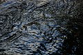 * Nomination Reflections in the waters of the Aberglaslyn pass. Mattbuck 00:51, 1 June 2010 (UTC) * Decline Too much parts out of focus (unsharp), a strange and disturbing "red" thing, right. Sorry.--Jebulon 09:40, 1 June 2010 (UTC) I think it's a leaf, and I have to say I hadn't noticed it before. Oh well. Mattbuck 11:29, 1 June 2010 (UTC)