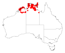 Acacia gonocarpaDistMap397.png