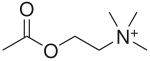 Acetylcholin.svg