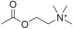 Figure 3. Acetylcholine for comparison.
