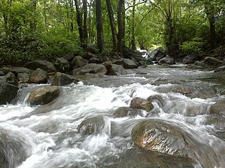 <span class="mw-page-title-main">Adyanpara Falls</span> Catching waterfall in Kerala, India