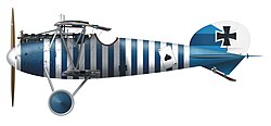 Albatros Bohning Herbert.jpg