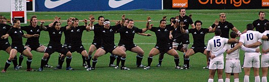 Résultat de recherche d'images pour "composition all black finale coupe du monde 2011"