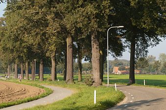 Vejen mellem St. Odilienberg Paarlo, og St. Odiliënberg