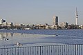 Blick über die Außenalster Richtung Westen.(Januar 2009)