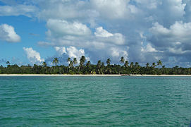 Andros island2978.jpg