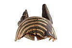 File:Anubis_Mask_from_Harrogate_-_rear_view_-_HARGM10686_03.jpg