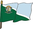 Flagg til Araçoiaba da Serra