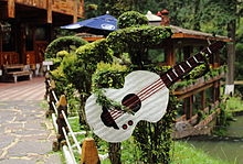 Arbusto decorado con una guitarra