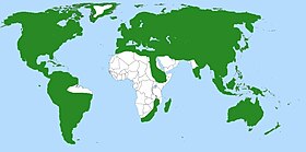 Phân bố toàn cầu của Carex (màu lục)