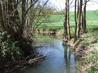 <span class="mw-page-title-main">Aschbach (Wern)</span> River in Germany