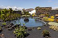 * Nomination Pond at Fundación César Manrique, Lanzarote --Mike Peel 19:54, 5 April 2023 (UTC) * Promotion  Support Good quality. --Rjcastillo 03:13, 6 April 2023 (UTC)