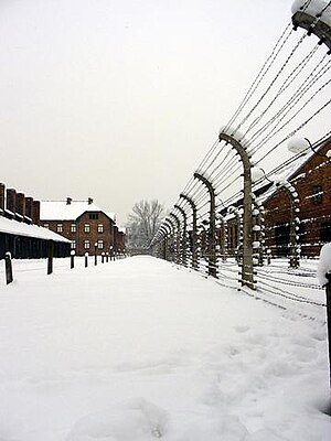 Auschwitz: Vaste complexe, La vie dans le camp, Résistance et évasions