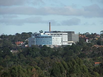 How to get to Austin Hospital with public transport- About the place