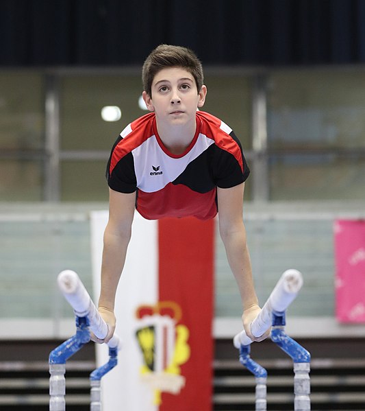 File:Austrian Future Cup 2018-11-23 Training Afternoon Parallel bars (Martin Rulsch) 0770.jpg