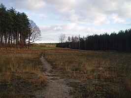 Averbode Bos en Heide