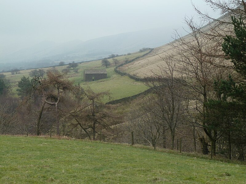 File:Barn across the ravine of Whitemoor Clough - geograph.org.uk - 2826618.jpg