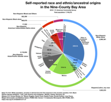 Race and ethnic/ancestral origins in the Nine-County Bay Area, 2019.