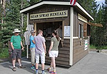 Renting bear spray is very popular and can be used for safety against bears.