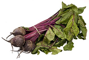 Beetroot