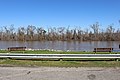 Benches along Apalachicola River