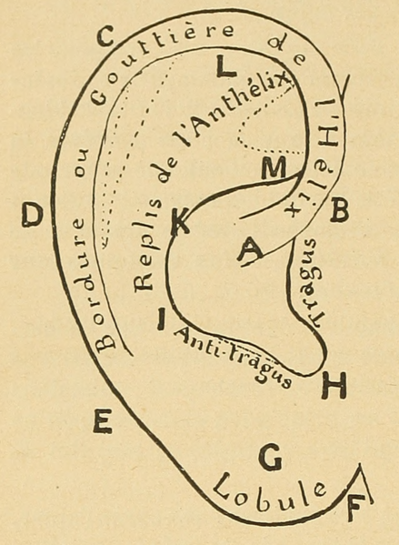 File:Bertillon - Identification anthropométrique (1893) 162.png
