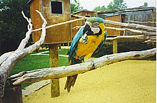 Birdworld, Farnham'ın Güneybatısı - geograph.org.uk - 108327.jpg