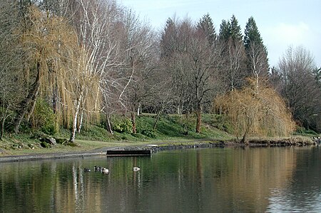 Blue Lake shoreline