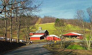 <span class="mw-page-title-main">Boggs Township, Centre County, Pennsylvania</span> Township in Pennsylvania, United States
