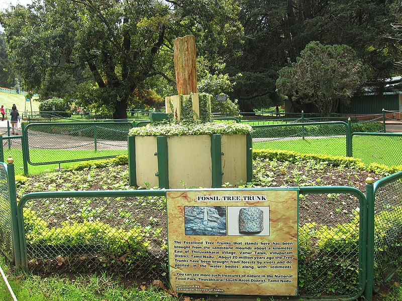 File:Botanical Garden,Ooty - ബോട്ടാണിക്കൽ ഗാർഡൻ, ഊട്ടി 03.jpg