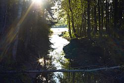 Bottenån, Östergötland