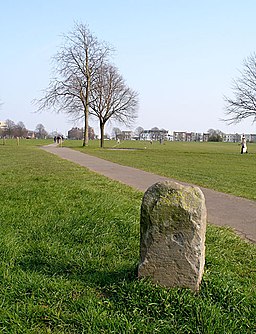 Boundary stone and footpath crossing The Downs - geograph.org.uk - 384982