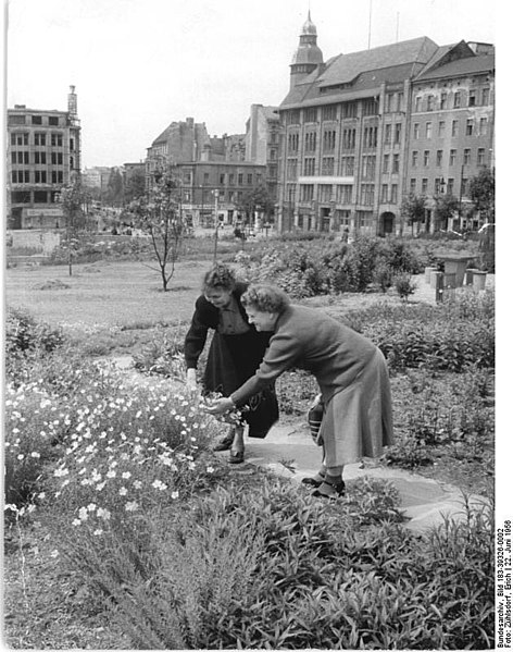 File:Bundesarchiv Bild 183-39326-0002, Berlin, Volkspark Weinbergsweg.jpg