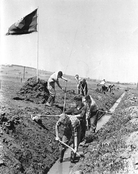 FDJ members digging ditches in May 1959