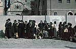 Thumbnail for Romani Holocaust