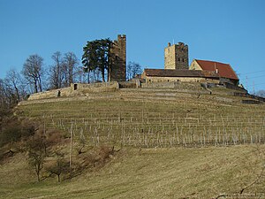 Neipperg Castle, ancestral castle of the family from the 12th century