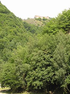 Poenari Castle Wikipedia