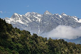 Butler Berkisar dari Whataroa River.jpg