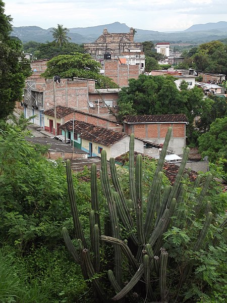 File:Cactus (Cactaceae). - panoramio.jpg